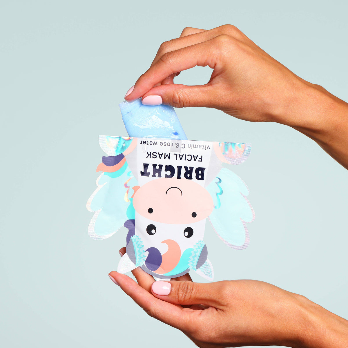 Christmas Holiday Winter Wonder Animal Facial Mask Gift Set