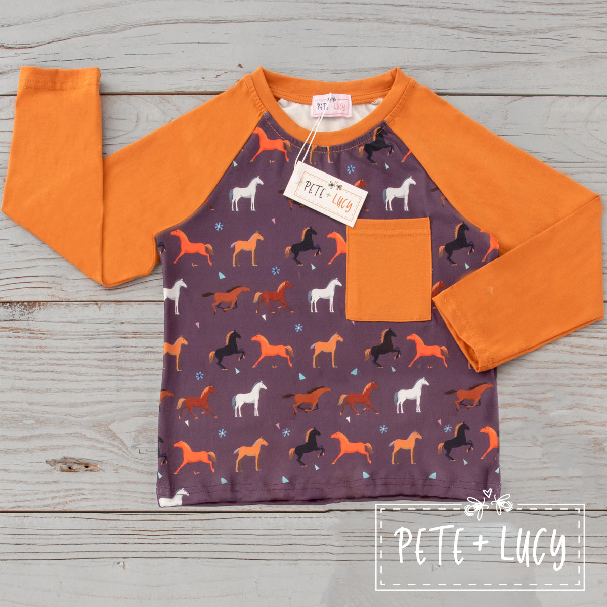 Playing with Horses - Boys Long Sleeve Shirt