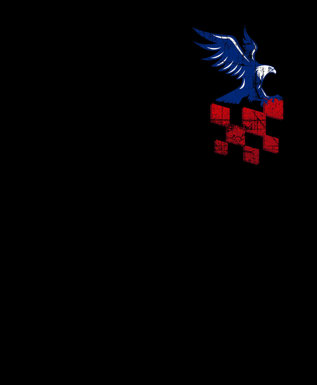 CD Racing Concord American Flagpole T-Shirt and Hoodie -BLACK