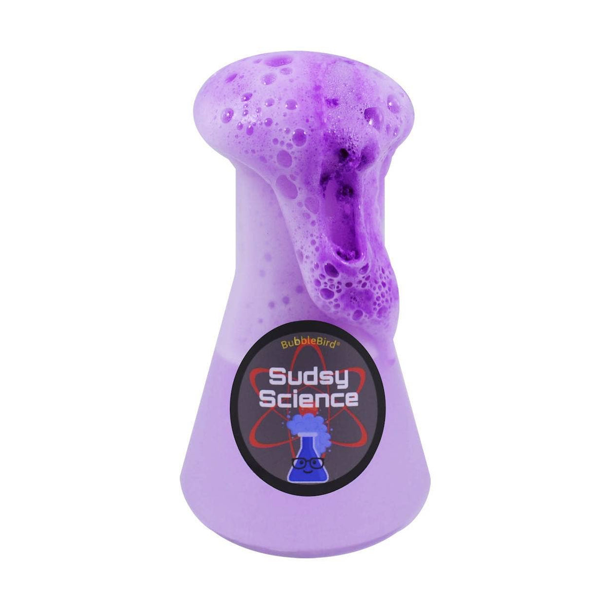 Sudsy Science Kit