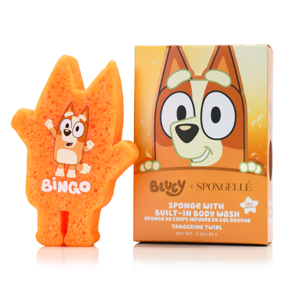 Bluey Assorted Pack