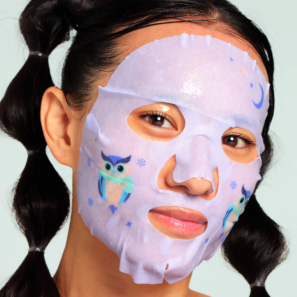 Christmas Holiday Winter Wonder Animal Facial Mask Gift Set
